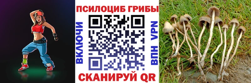 Галлюциногенные грибы MAGIC MUSHROOMS Дорогобуж